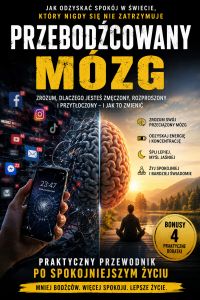 Przebodźcowany mózg