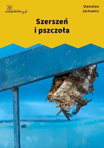 Szerszeń i pszczoła