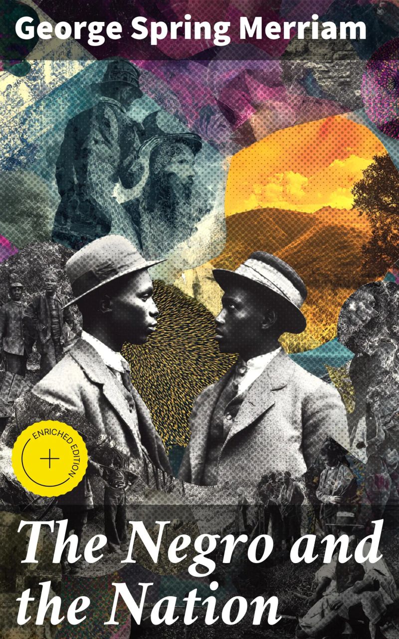 The Negro and the Nation