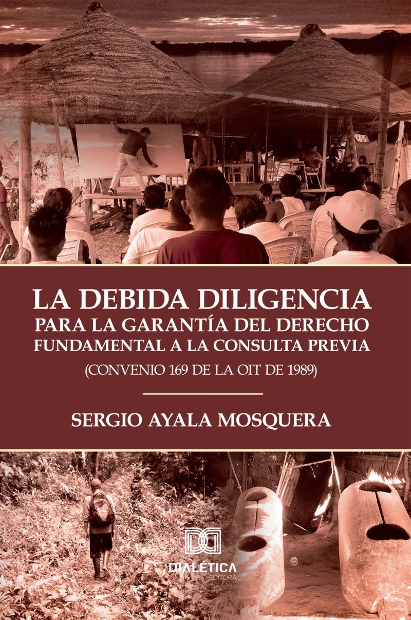 La Debida Diligencia para la Garantía del Derecho Fundamental a la Consulta Previa (Convenio 169 de la OIT de 1989)