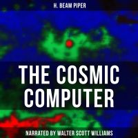 The Cosmic Computer