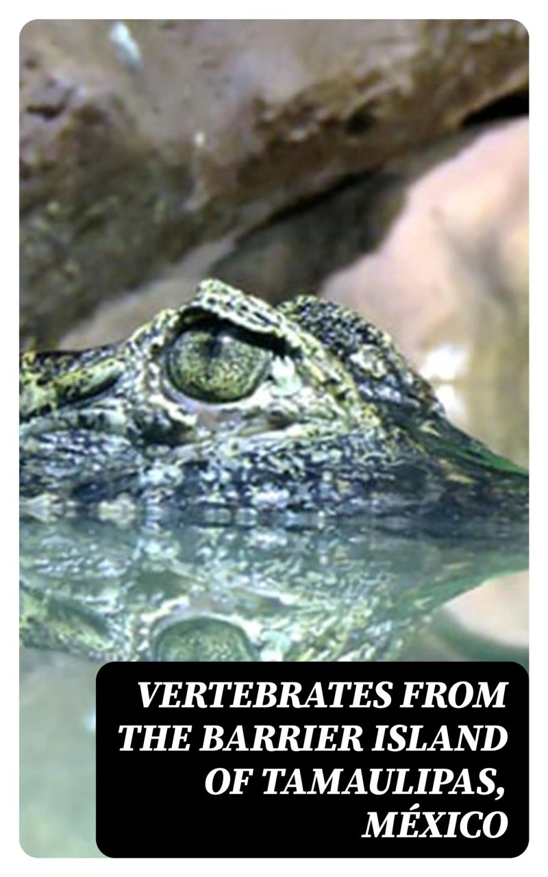 Vertebrates from the Barrier Island of Tamaulipas, México