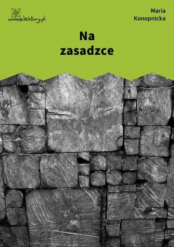 Na zasadzce