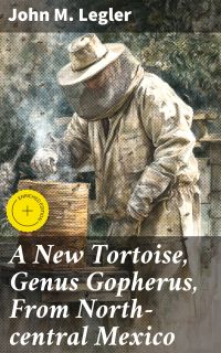 A New Tortoise, Genus Gopherus, From North-central Mexico