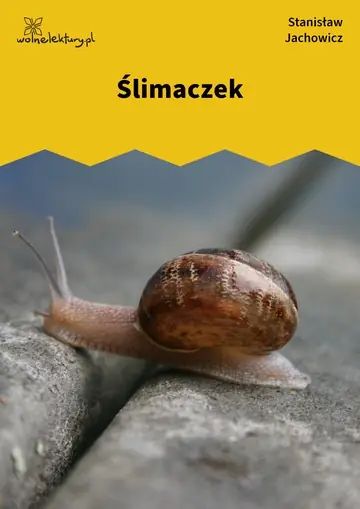 Ślimaczek