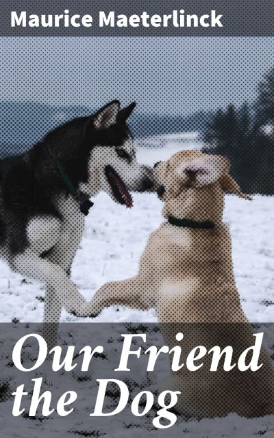 Our Friend the Dog