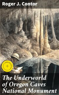 The Underworld of Oregon Caves National Monument