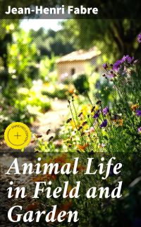Animal Life in Field and Garden