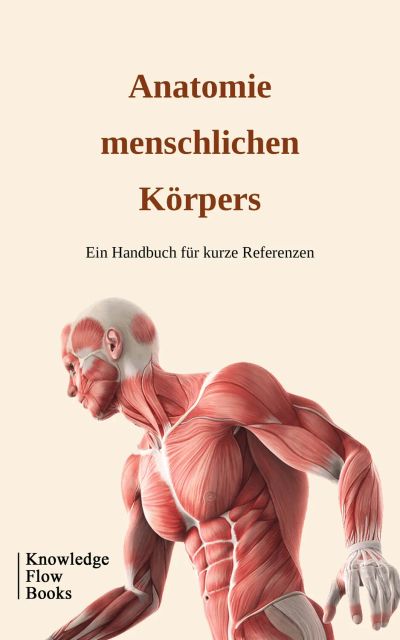 Anatomie menschlichen Körpers