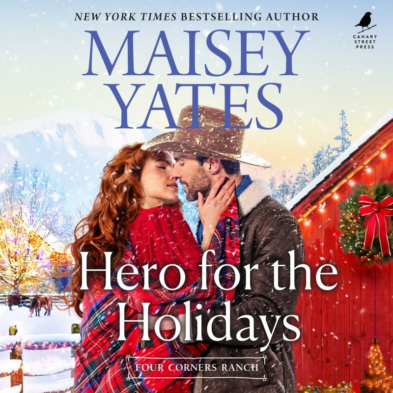 Hero for the Holidays