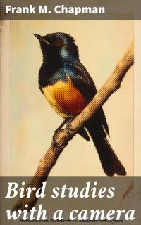 Bird studies with a camera