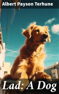 Lad: A Dog