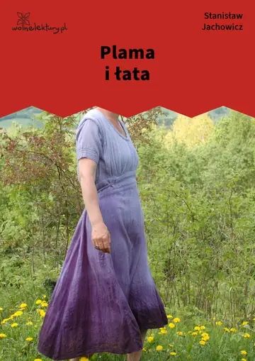 Plama i łata