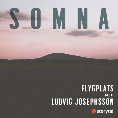Flygplats