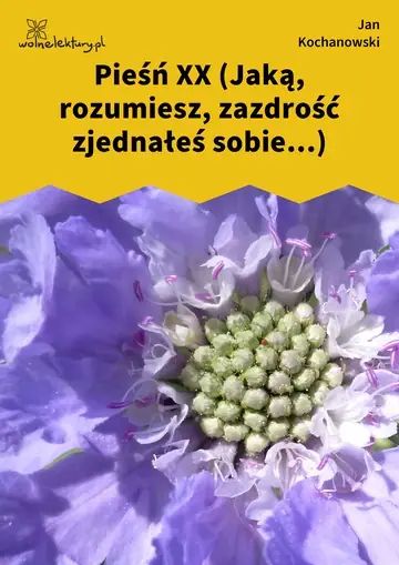Pieśń XX (Jaką, rozumiesz, zazdrość zjednałeś sobie...)