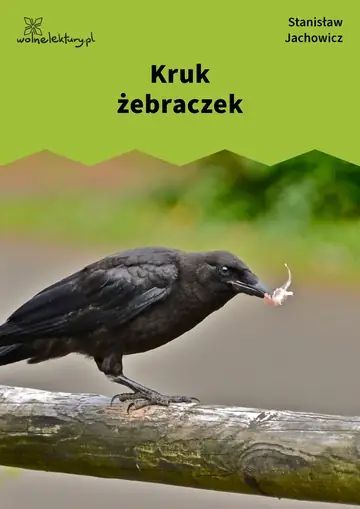 Kruk żebraczek
