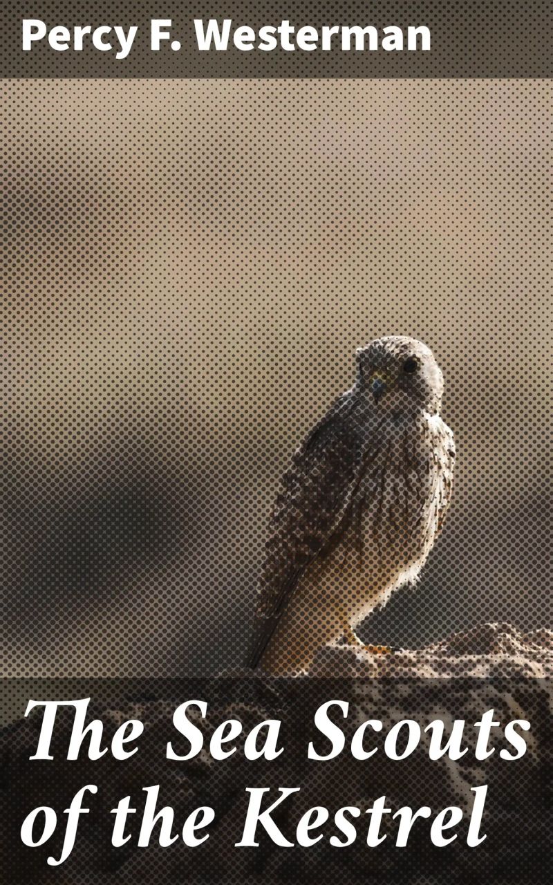 The Sea Scouts of the Kestrel