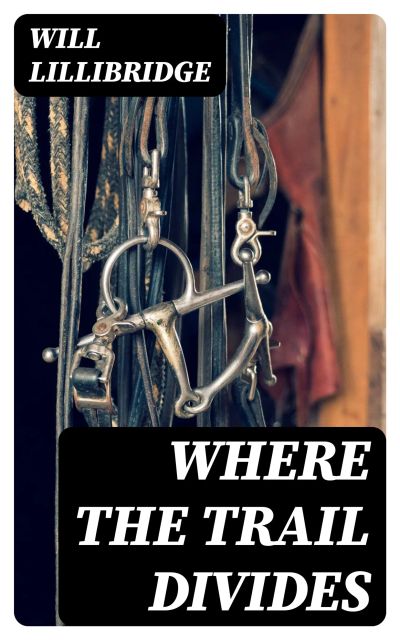 Where the Trail Divides