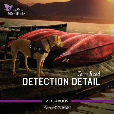 Detection Detail