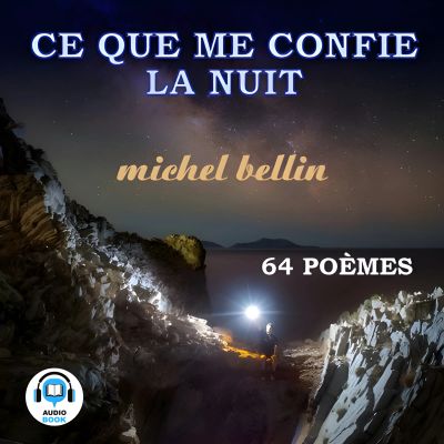 Ce que me confie la nuit