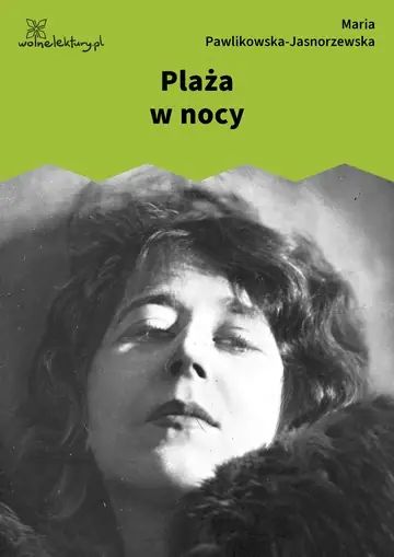Plaża w nocy
