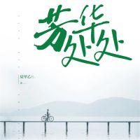 芳华处处