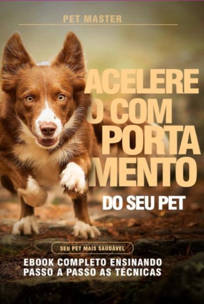 85 Dicas E Comandos Infalíveis  Para Treinar Seu Cão