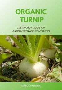 Organic Turnip