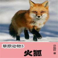 草原动物3：火狐