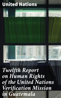Twelfth Report on Human Rights of the United Nations Verification Mission in Guatemala