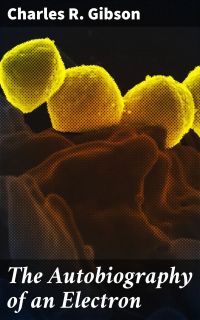 The Autobiography of an Electron