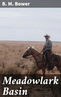 Meadowlark Basin