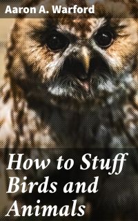 How to Stuff Birds and Animals