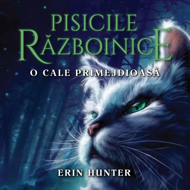 O cale primejdioasă