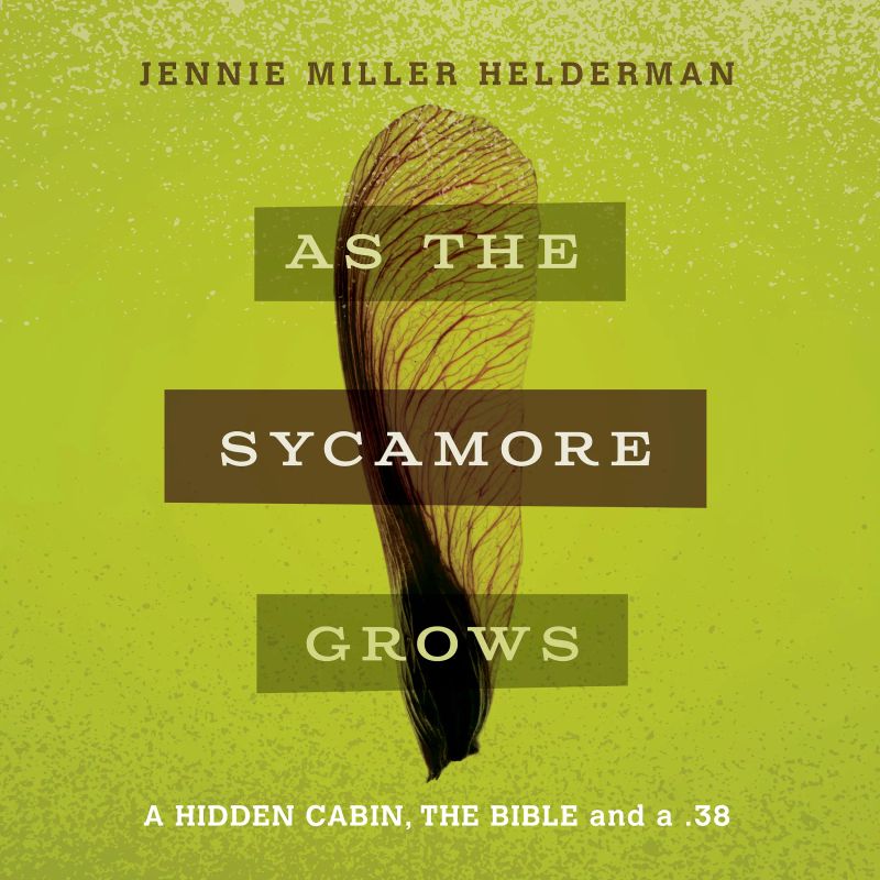 As the Sycamore Grows