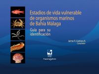 Estadios de vida vulnerable de organismos marinos de Bahía Málaga