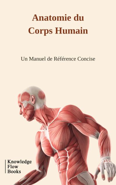 Anatomie du Corps Humain