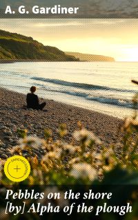 Pebbles on the shore [by] Alpha of the plough