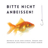 Bitte nicht anbeißen! Die 10 besten Meditationen für ein erfülltes Leben