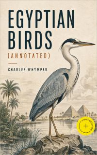 Egyptian Birds (Annotated)