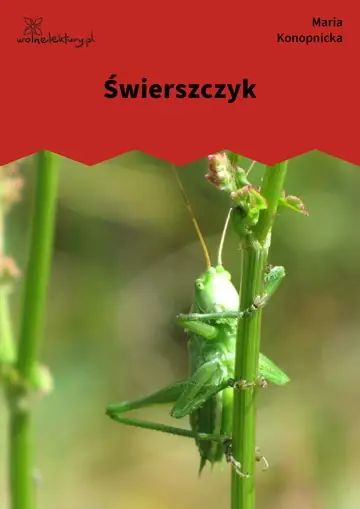 Świerszczyk