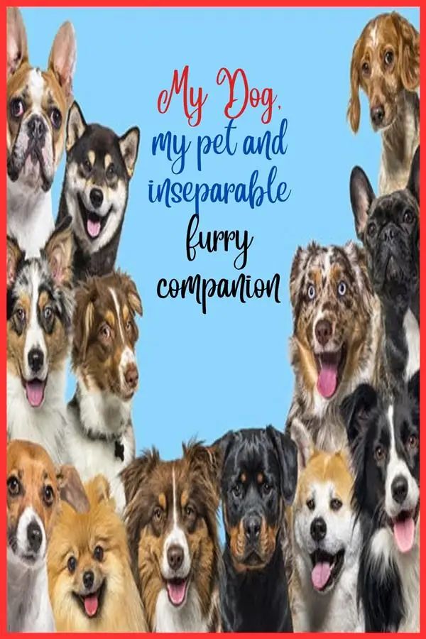 My Dog, my pet and inseparable furry companion