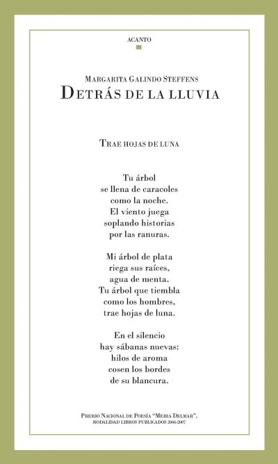 Detrás de la lluvia