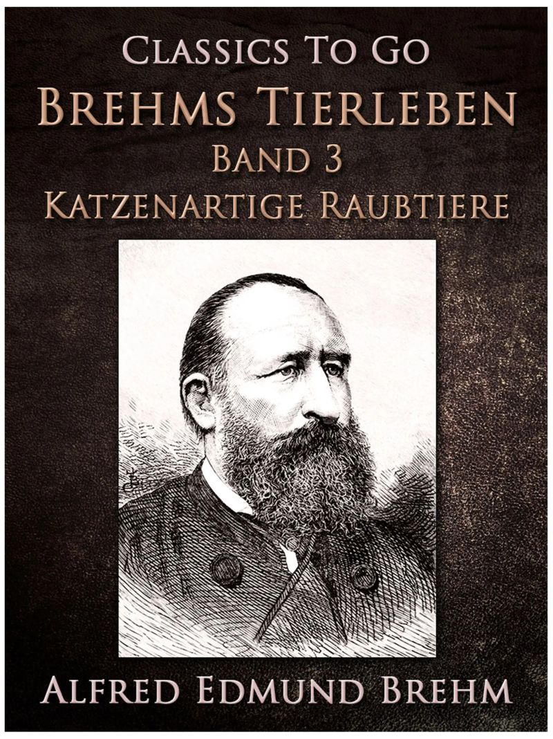 Ein stummer Musikant. Die Geschichte einer Künstlerliebe