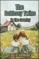 The Bobbsey Twins in the Countryv