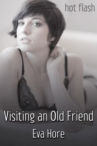 Visiting an Old Friend