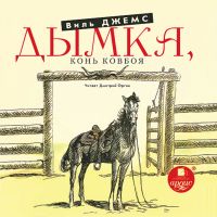 Дымка, Конь ковбоя