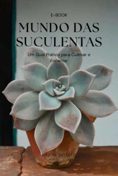 Mundo Das Suculentas