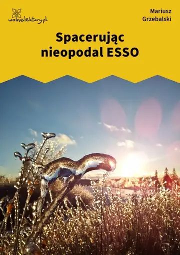 Spacerując nieopodal ESSO
