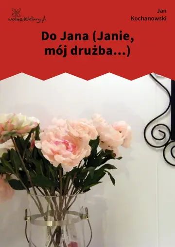 Do Jana (Janie, mój drużba...)
